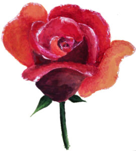 Acryl Rose