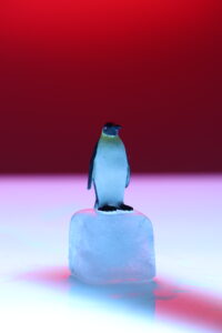 Pinguin Stillleben