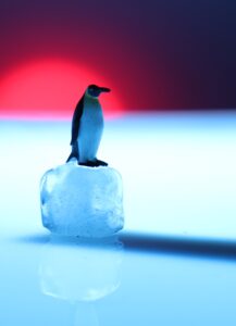 Pinguin Stillleben