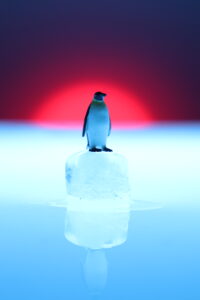 Pinguin Stillleben